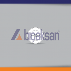 HOOGS <br> ID: MS-1  <br>   IB: 645258