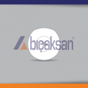 HOOGS<br> ID: MS-21    <br>  IB: 645266